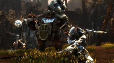 Capture d'écran de Kingdoms of Amalur: Re-Reckoning