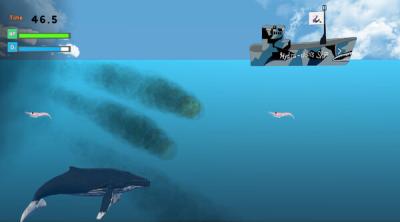 Screenshot of Life of Whale