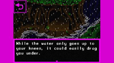 Screenshot of Lily's Well
