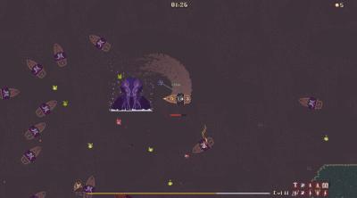 Screenshot of Lord O' Pirates