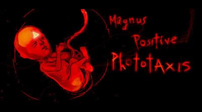 Logo von Magnus Positive Phototaxis