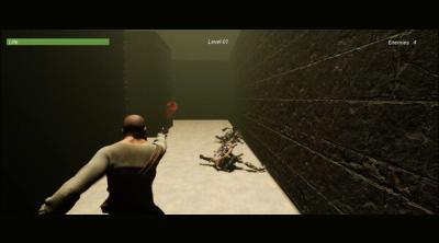 Screenshot of Maze Of Shadows