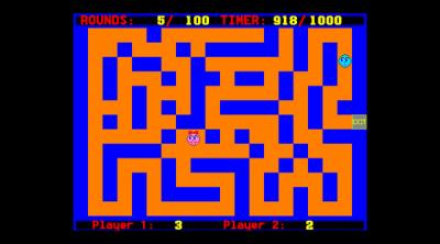 Screenshot of Maze Racer Balls