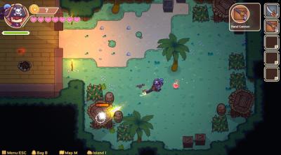 Screenshot of Miss Neko: Pirates