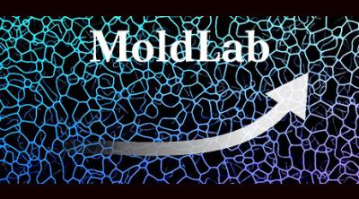 Logo of MoldLab