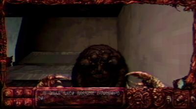 Screenshot of Navicula Meatus