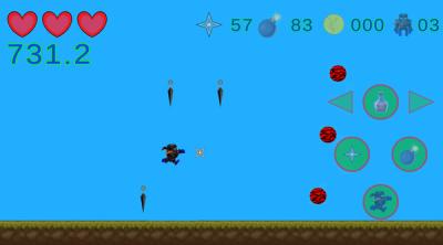 Screenshot of NINJA KATO 2