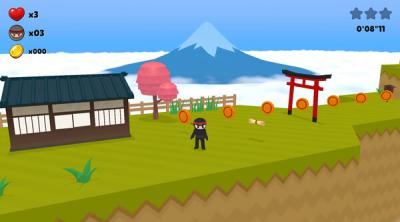Screenshot of Ninja Maker