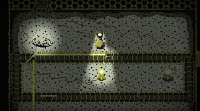 Screenshot of Observe