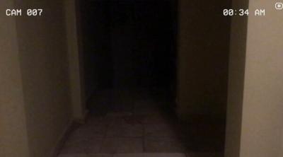 Screenshot of Paranormal Inc.
