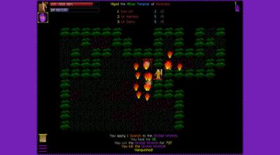 Screenshot of Path of Achra