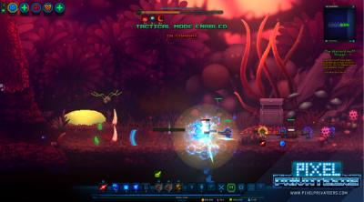 Screenshot of Pixel Privateers
