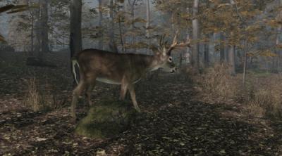 Screenshot of Pro Deer Hunting 2