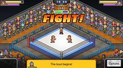Screenshot of Pro Wrestler Story