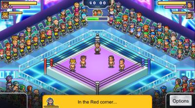 Screenshot of Pro Wrestler Story