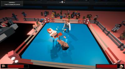 Screenshot of RAGDOLL UNIVERSE