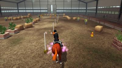 Screenshot of Riding Club Championships