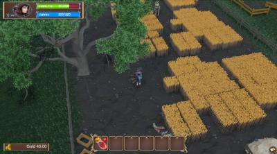 Screenshot of Rise of the Village Hero