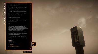 Screenshot of Rodeo Clown