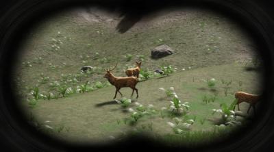 Screenshot of Russian Hunter