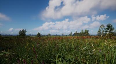 Screenshot of Russian Soul Simulator