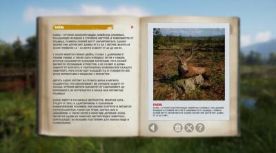 Screenshot of Russian Soul Simulator