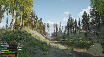 Screenshot of Russian Village Simulator