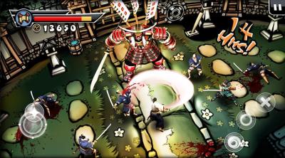 Screenshot of Samurai II: Vengeance