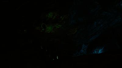 Screenshot of Shadow Falls