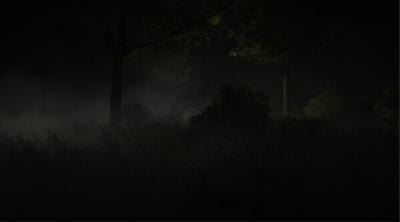 Capture d'écran de Shadows of Taumiel