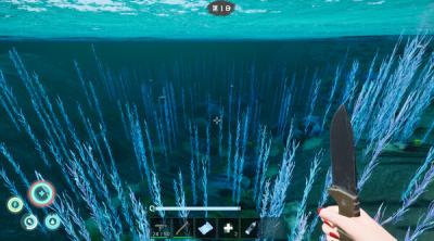 Screenshot of Shallow Sea Roaming