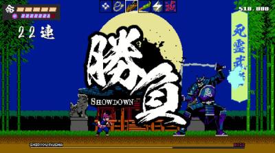 Screenshot of Shinobi non Grata