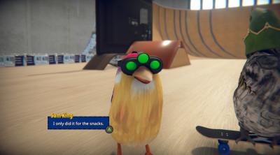 Screenshot of SkateBIRD