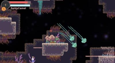 Screenshot of Skyseeker