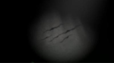 Capture d'écran de Somnium Tenebris