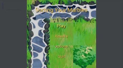 Screenshot of Sorting Your Marbles