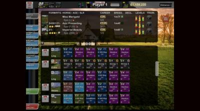 Screenshot of Starters Orders Touch Horse Racing