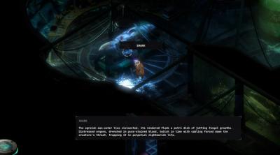 Screenshot of STASIS: BONE TOTEM