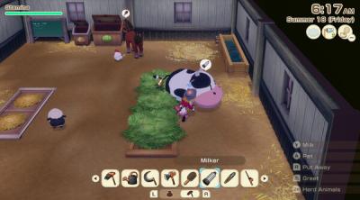 Capture d'écran de Story of Seasons: Grand Bazaar