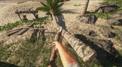 Screenshot of Stranded Deep