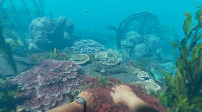 Screenshot of Stranded Deep