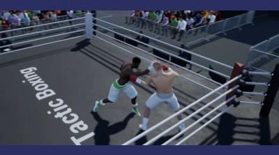 Screenshot of Tactic Boxing