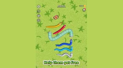 Screenshot of Tangled Snakes