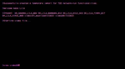 Screenshot of TERMINAL22