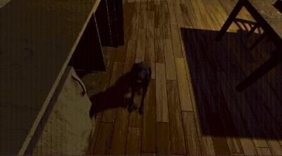 Screenshot of the door you can never open