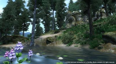 Capture d'écran de The Elder Scrolls IV: Oblivion Game of the Year Edition PC
