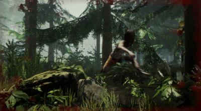 Screenshot of The Forest