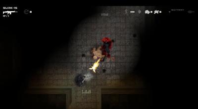 Screenshot of The Last Man