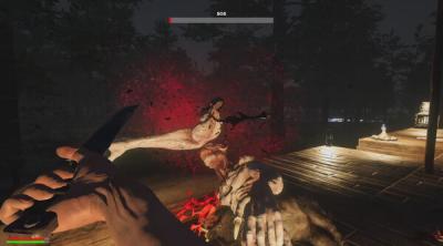 Screenshot of The Seekers: Survival