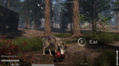 Screenshot of The WILDS